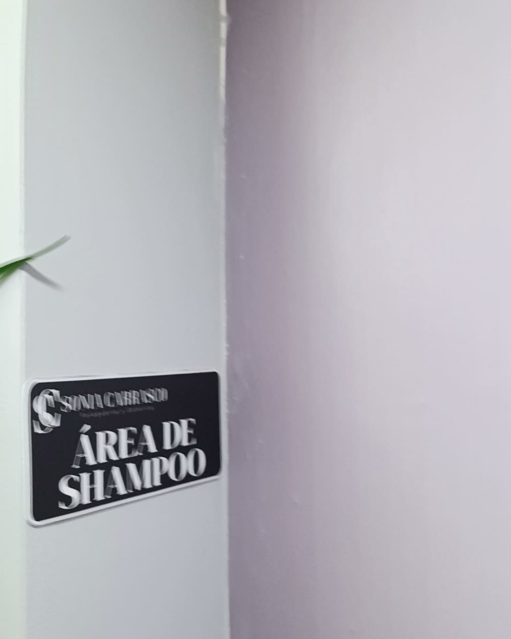Área de lavado del salón